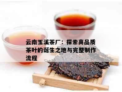 云南玉溪茶厂：探索高品质茶叶的诞生之地与完整制作流程