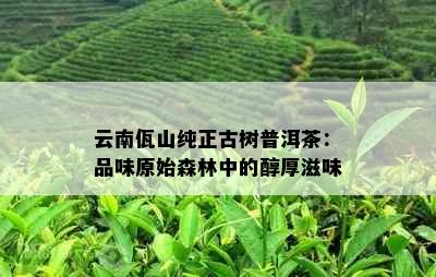 云南佤山纯正古树普洱茶：品味原始森林中的醇厚滋味