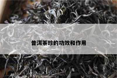 普洱茶珍的功效和作用