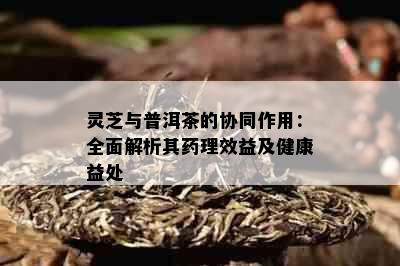 灵芝与普洱茶的协同作用：全面解析其理效益及健康益处