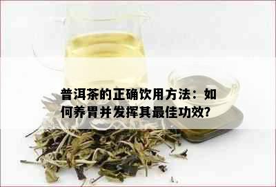 普洱茶的正确饮用方法：如何养胃并发挥其更佳功效？