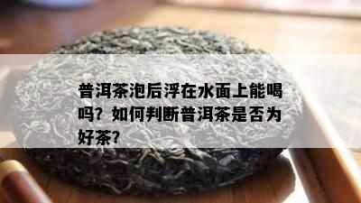 普洱茶泡后浮在水面上能喝吗？如何判断普洱茶是否为好茶？