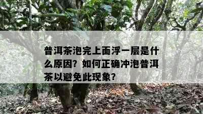 普洱茶泡完上面浮一层是什么原因？如何正确冲泡普洱茶以避免此现象？