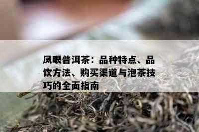 凤眼普洱茶：品种特点、品饮方法、购买渠道与泡茶技巧的全面指南