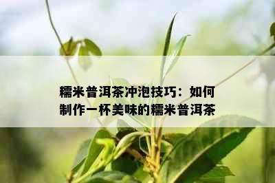 糯米普洱茶冲泡技巧：如何制作一杯美味的糯米普洱茶