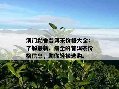 勐舍普洱茶价格大全：了解最新、最全的普洱茶价格信息，助你轻松选购。