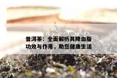 普洱茶：全面解析其降血脂功效与作用，助您健康生活