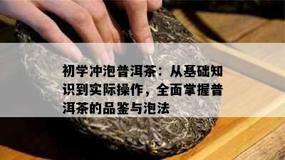 初学冲泡普洱茶：从基础知识到实际操作，全面掌握普洱茶的品鉴与泡法