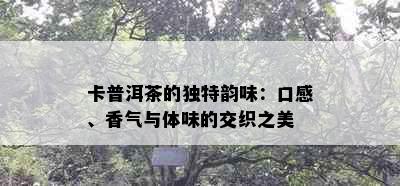 卡普洱茶的独特韵味：口感、香气与体味的交织之美