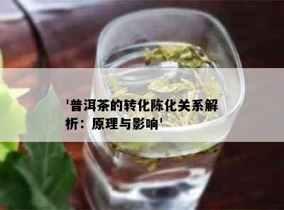 '普洱茶的转化陈化关系解析：原理与影响'