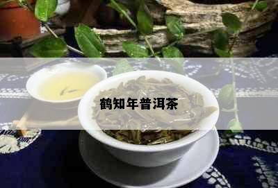 鹤知年普洱茶