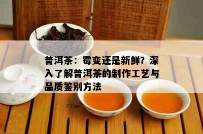 普洱茶：霉变还是新鲜？深入了解普洱茶的制作工艺与品质鉴别方法