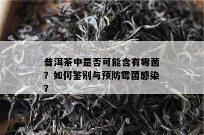 普洱茶中是否可能含有霉菌？如何鉴别与预防霉菌感染？