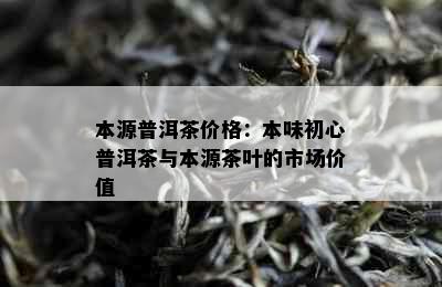 本源普洱茶价格：本味初心普洱茶与本源茶叶的市场价值