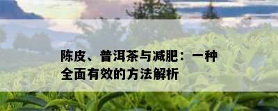 陈皮、普洱茶与减肥：一种全面有效的方法解析