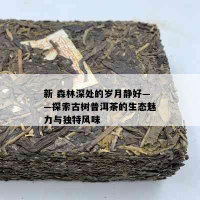 新 森林深处的岁月静好——探索古树普洱茶的生态魅力与独特风味