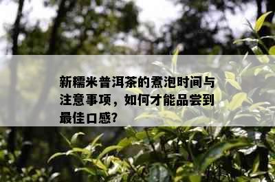 新糯米普洱茶的煮泡时间与注意事项，如何才能品尝到更佳口感？