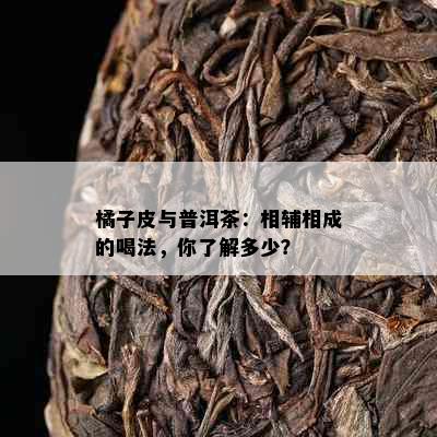 橘子皮与普洱茶：相辅相成的喝法，你了解多少？