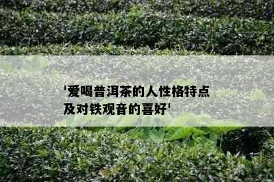 '爱喝普洱茶的人性格特点及对铁观音的喜好'