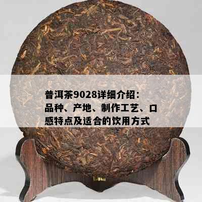 普洱茶9028详细介绍：品种、产地、制作工艺、口感特点及适合的饮用方式