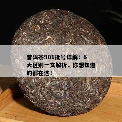 普洱茶901批号详解：6大区别一文解析，你想知道的都在这！