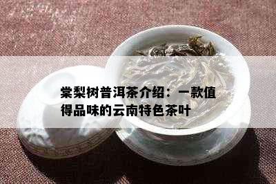 棠梨树普洱茶介绍：一款值得品味的云南特色茶叶