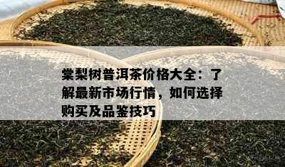 棠梨树普洱茶价格大全：了解最新市场行情，如何选择购买及品鉴技巧