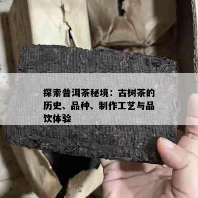 探索普洱茶秘境：古树茶的历史、品种、制作工艺与品饮体验