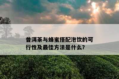 普洱茶与蜂蜜搭配泡饮的可行性及更佳方法是什么？