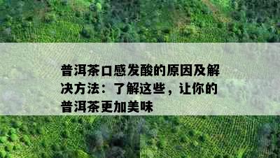 普洱茶口感发酸的原因及解决方法：了解这些，让你的普洱茶更加美味