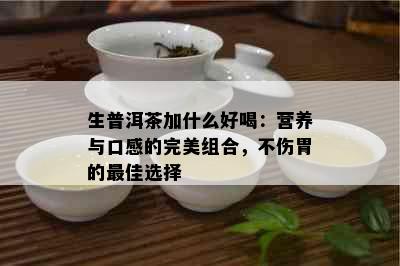 生普洱茶加什么好喝：营养与口感的完美组合，不伤胃的更佳选择