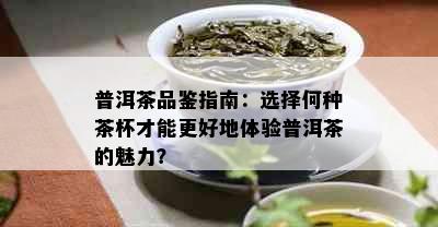 普洱茶品鉴指南：选择何种茶杯才能更好地体验普洱茶的魅力？