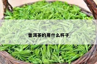 普洱茶的用什么杯子