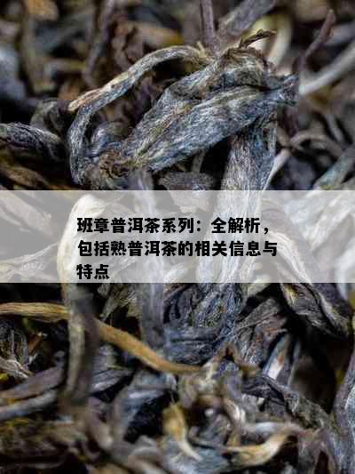 班章普洱茶系列：全解析，包括熟普洱茶的相关信息与特点