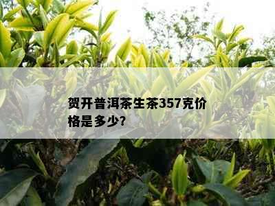 贺开普洱茶生茶357克价格是多少？