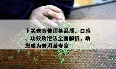 下关老寨普洱茶品质、口感、功效及泡法全面解析，助您成为普洱茶专家