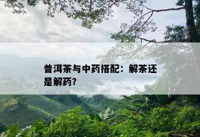 普洱茶与中搭配：解茶还是解？