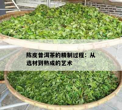 陈皮普洱茶的精制过程：从选材到熟成的艺术