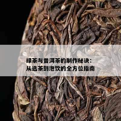 绿茶与普洱茶的制作秘诀：从选茶到泡饮的全方位指南