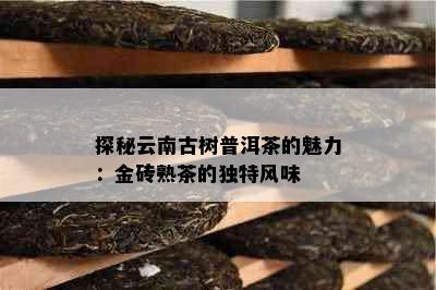 探秘云南古树普洱茶的魅力：金砖熟茶的独特风味