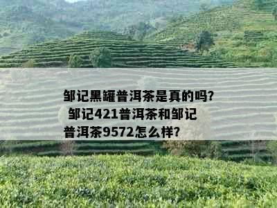 邹记黑罐普洱茶是真的吗？ 邹记421普洱茶和邹记普洱茶9572怎么样？