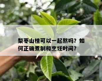 梨枣山楂可以一起熬吗？如何正确煮制和烹饪时间？