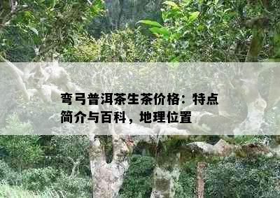 弯弓普洱茶生茶价格：特点简介与百科，地理位置