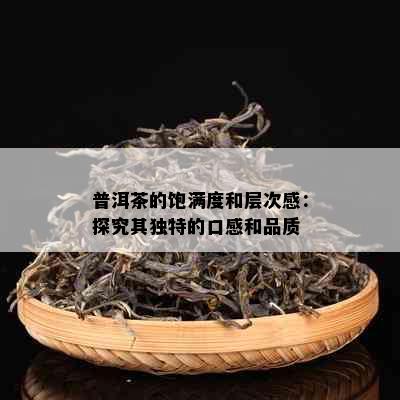 普洱茶的饱满度和层次感：探究其独特的口感和品质