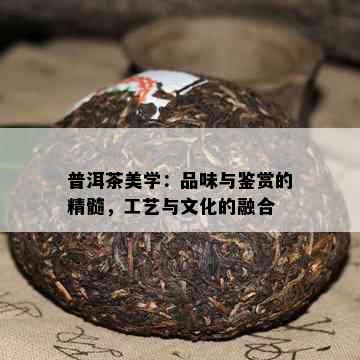 普洱茶美学：品味与鉴赏的精髓，工艺与文化的融合