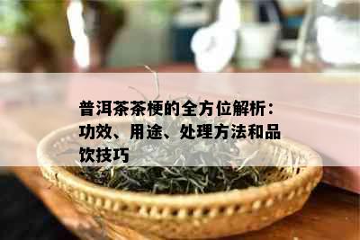 普洱茶茶梗的全方位解析：功效、用途、处理方法和品饮技巧