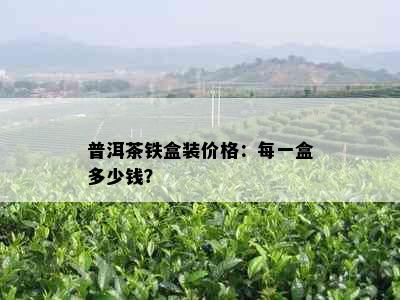 普洱茶铁盒装价格：每一盒多少钱？