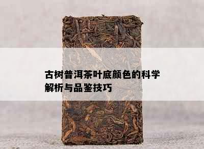 古树普洱茶叶底颜色的科学解析与品鉴技巧