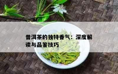 普洱茶的独特香气：深度解读与品鉴技巧