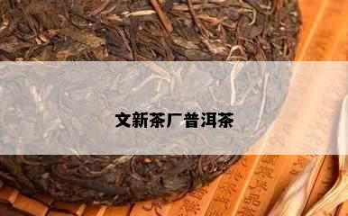 文新茶厂普洱茶